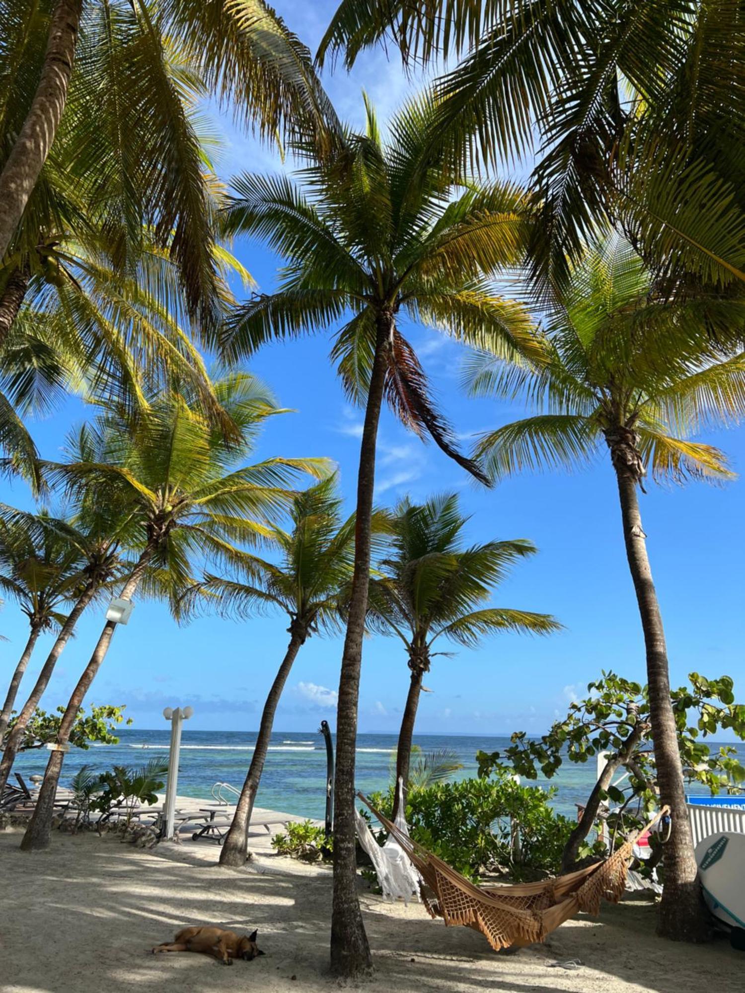 Guadeloupe- Saint-Francois- Residence Anse Des Rochers - Appartement Quart De Villa Etage - Vue Mer- 4 Personnes - Lit Bebe Sur Demande - Citerne Et Wifi Prives -Animaux Ok-Acces Plage Direct -Apnee Bien-Etre Experience Sur Demande Avec Instructeur A Exteriör bild