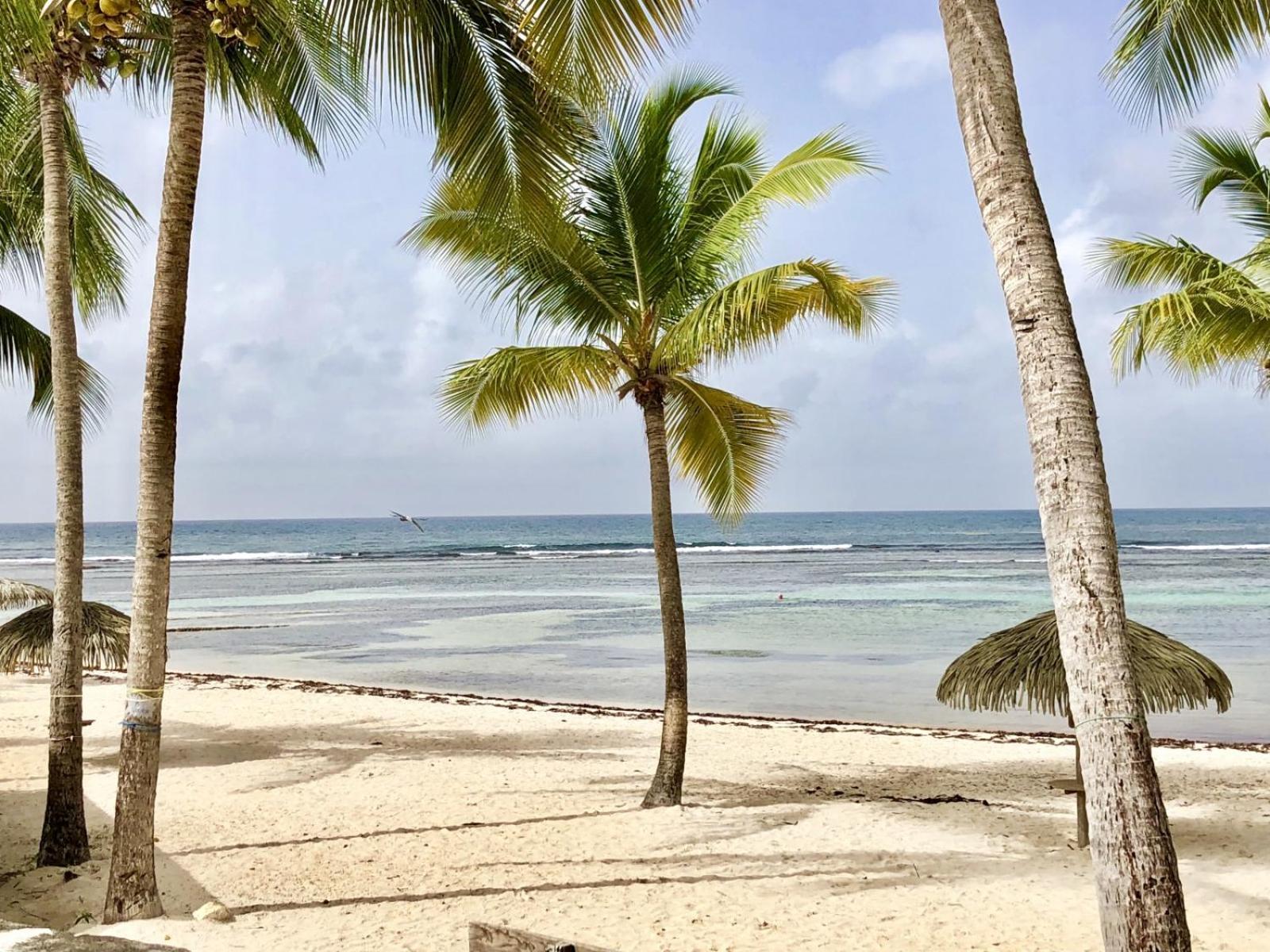 Guadeloupe- Saint-Francois- Residence Anse Des Rochers - Appartement Quart De Villa Etage - Vue Mer- 4 Personnes - Lit Bebe Sur Demande - Citerne Et Wifi Prives -Animaux Ok-Acces Plage Direct -Apnee Bien-Etre Experience Sur Demande Avec Instructeur A Exteriör bild